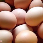 Проверить свежесть яиц