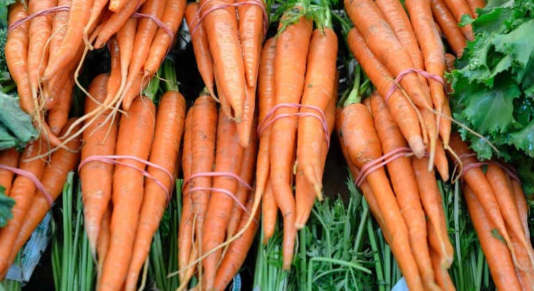 Вред моркови